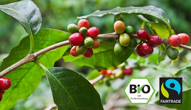 Bio und Fairtrade